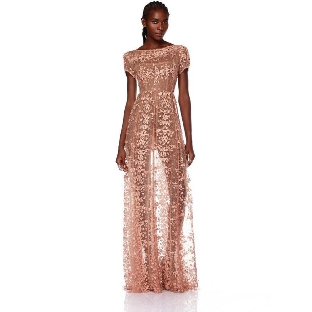 Bronx And Banco New Megan Cap Sleeve Sheer Lace Gown Size L / US 8